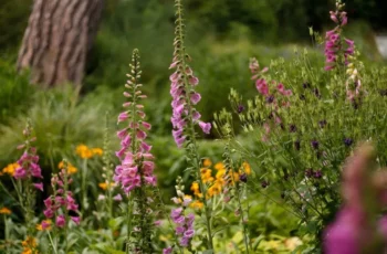 Bristol's Parks and Gardens
