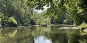 abbots pool